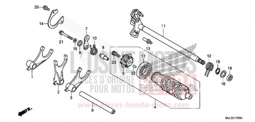 GEARSHIFT DRUM (NC750X/XA) NC750XAE de 2014